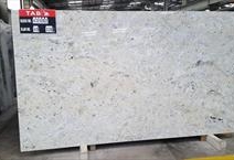 COLONIAL WHITE ( COTTON )
